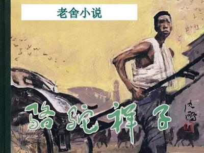 私人瑜伽教练大林木